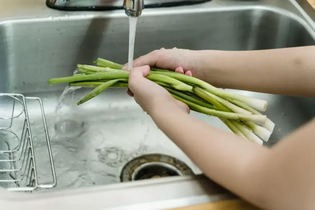 Recomendamos lavar bien la comida antes de consumirla