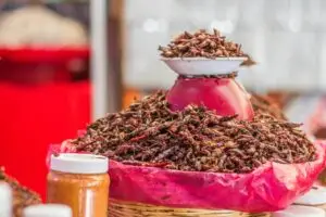 Insectos comestibles en un mercado, ejemplo de nuevos alimentos autorizados por la UE